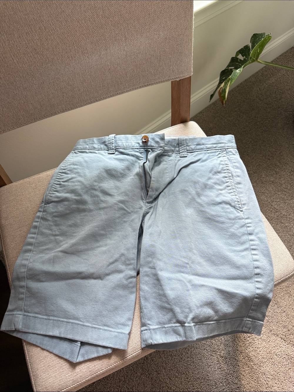 J Crew Men's Classic Light Blue Cotton Shorts